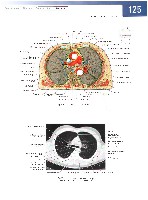 Sobotta  Atlas of Human Anatomy  Trunk, Viscera,Lower Limb Volume2 2006, page 132